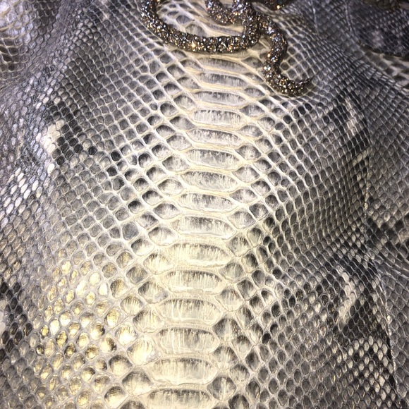 CLARA KASAVINA GOLD GREY GONZALEZ PYTHON SATCHEL BAG - Picture 5 of 13